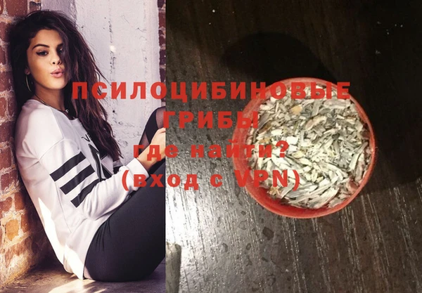 прущие грибы Алексин