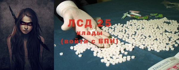 прущие грибы Алексин